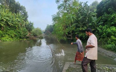 খাল-বিলে চলছে মাছ ধরার উৎসব