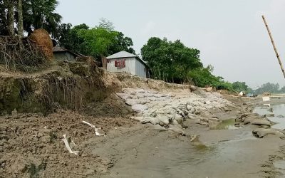 যমুনার পানি কমছে, শুরু হয়েছে নদী ভাঙন